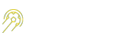 天天直播网